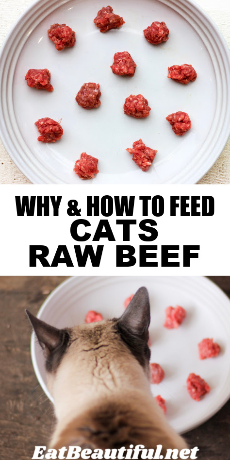 Cat raw beef sale