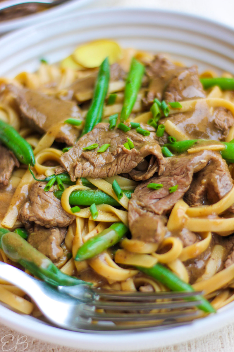 up close photo of paleo thai beef drunken noodles