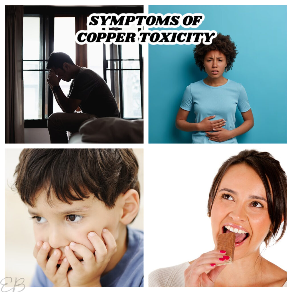 How NanoParticle Zeolite and Zinc Help Copper Toxicity Eat Beautiful