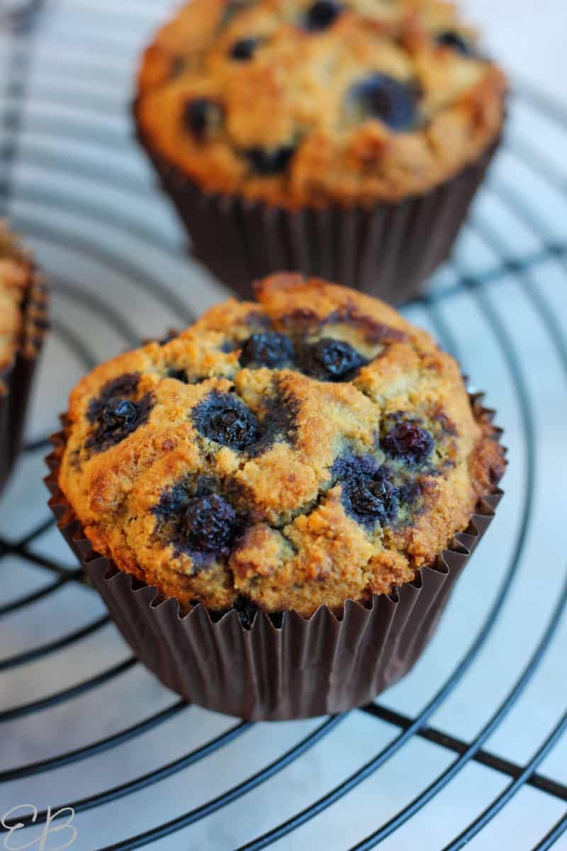 up close photo of aip blueberry muffins