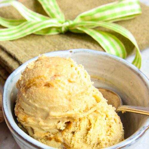 Spicy Ginger Swirl Ice Cream (Gingerbread Ice Cream!, Paleo, AIP, Keto