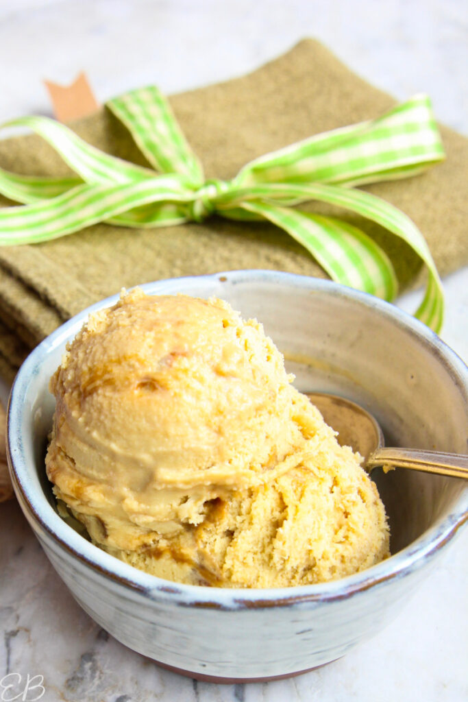 Spicy Ginger Swirl Ice Cream (Gingerbread Ice Cream!, Paleo, AIP, Keto