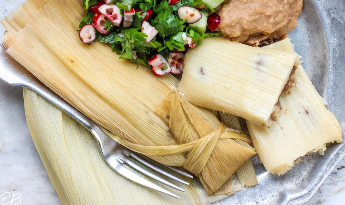 Nightshade-free Tamales from overhead on plate