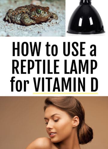 how to use a reptile lamp for vitamin D with 3 photos