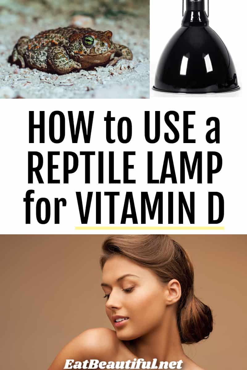 how to use a reptile lamp for vitamin D with 3 photos