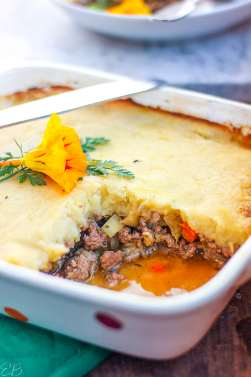 one serving served from paleo aip shepherd's pie