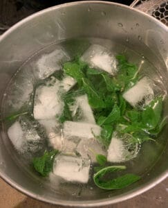 mint in ice water bath