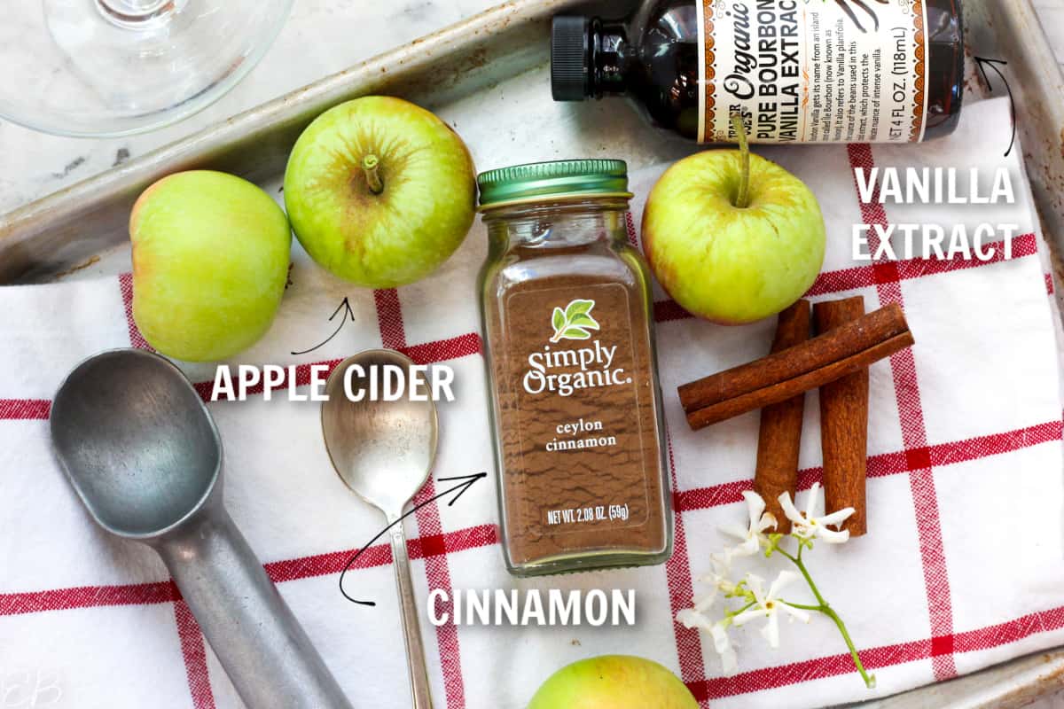 ingredients that go into apple cider sherbet