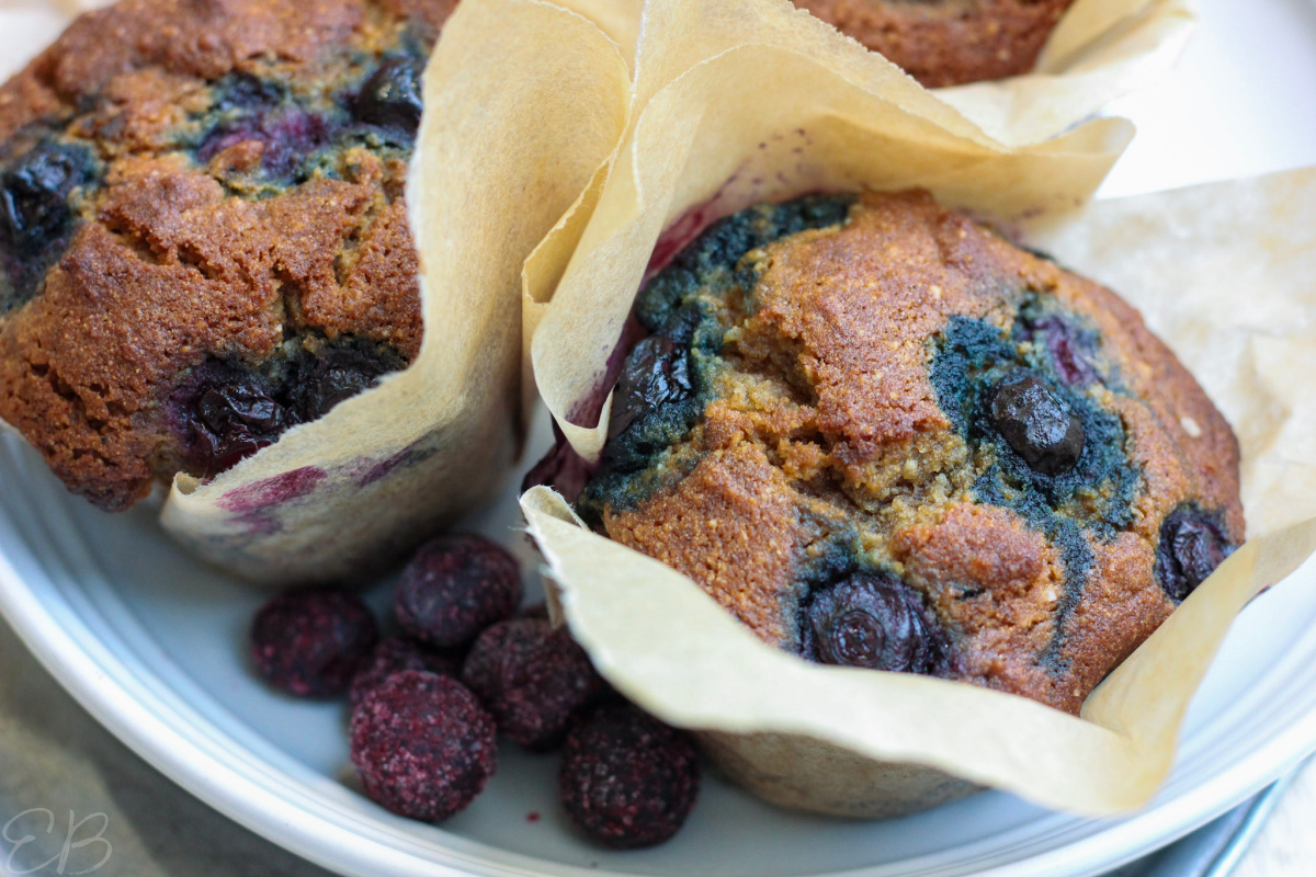 close up photo of paleo blueberry muffins