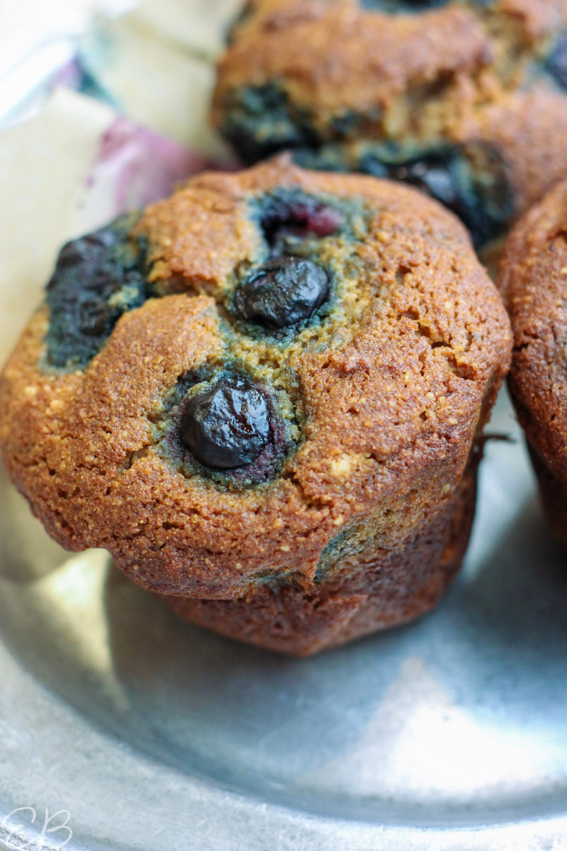 close up photo of paleo blueberry muffins