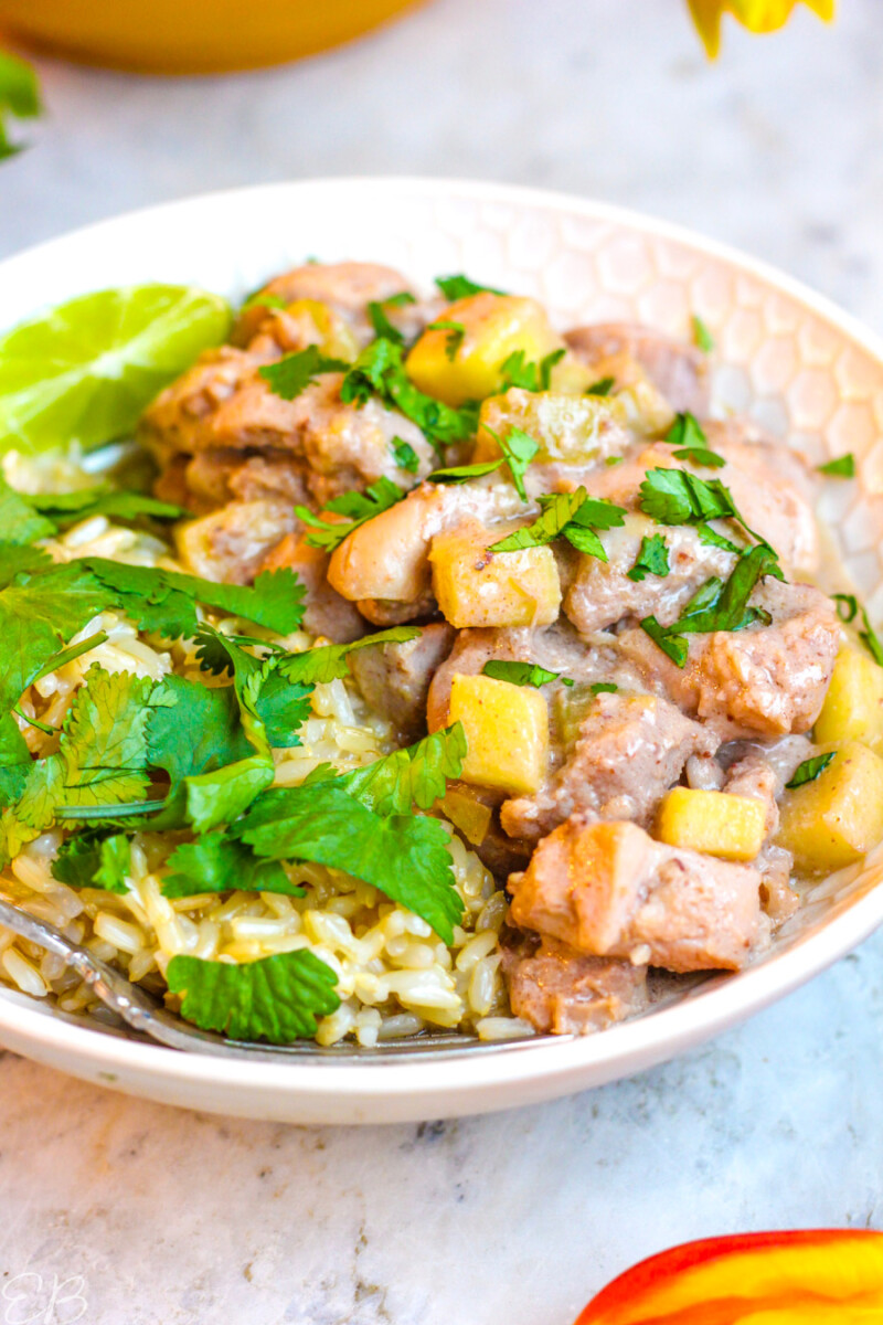 paleo chicken apple curry in white bowl