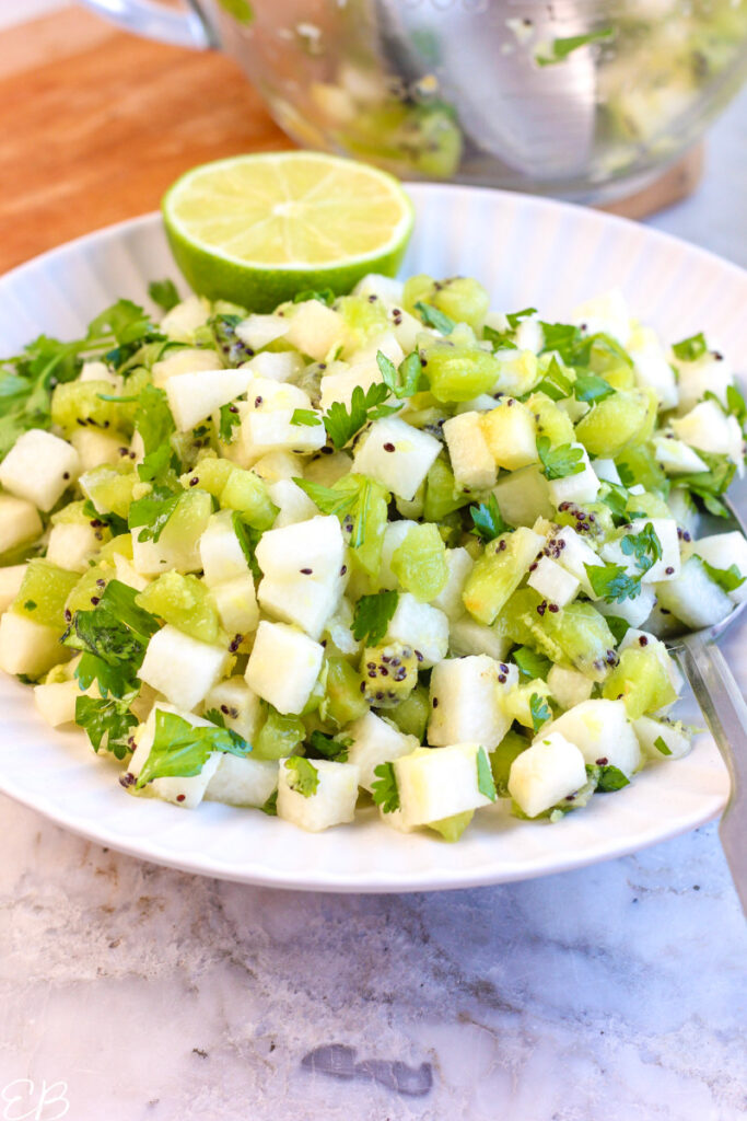 GingerLime Salsa with Kiwi and Jicama (nightshadefree, AIP, Paleo) Eat Beautiful