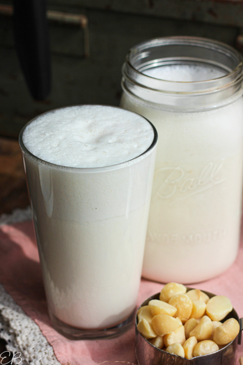 a glass and jar of homemade macadamia nut milk