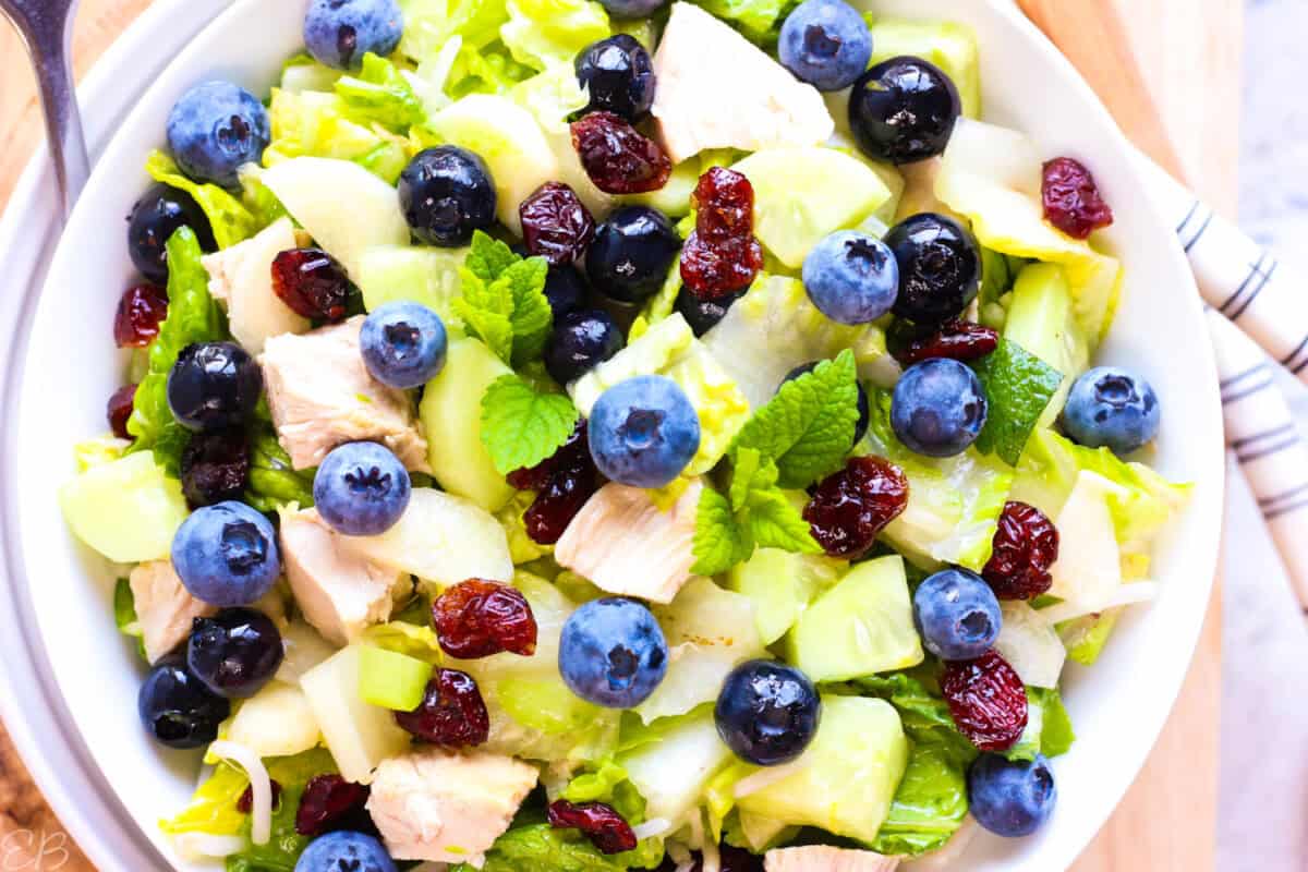 overhead view of blueberry chicken salad