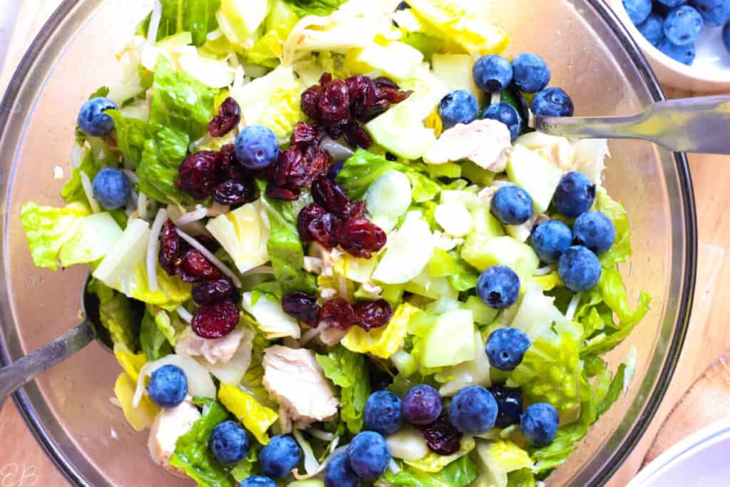 Curated visual reference: Fresh Look at Blueberry Chicken Chopped Salad With Dried Cranberries