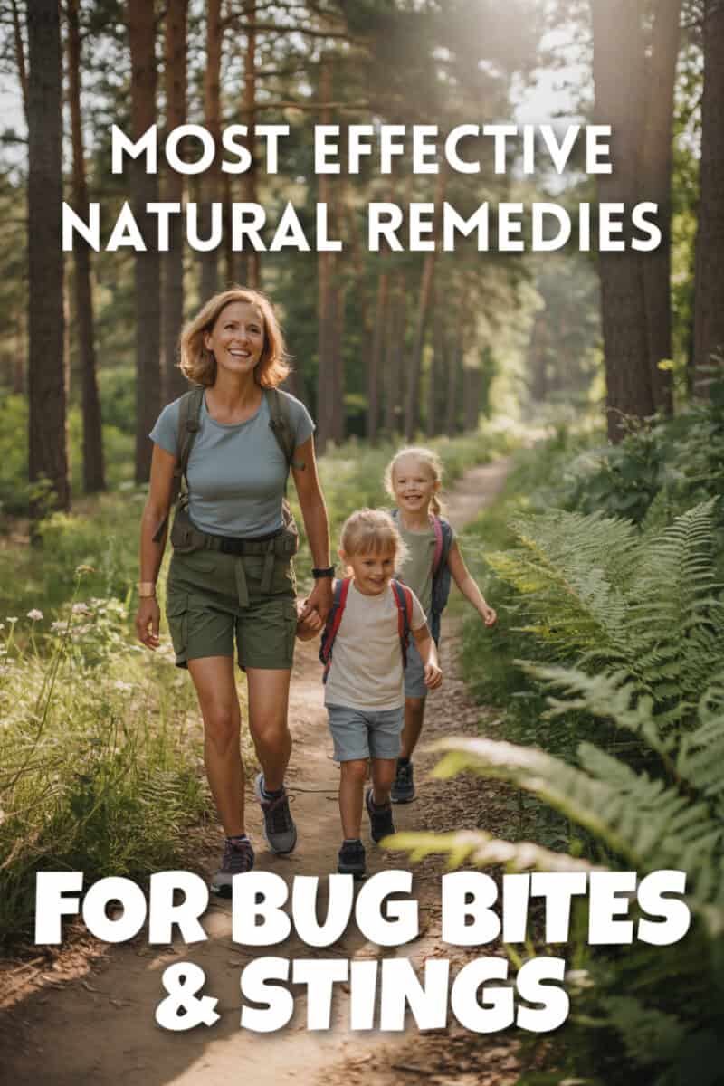 Must Haves for Bug Bites and Stings (Summer first aid kit for bites and ...