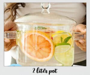 Borosilicate Glass Pot with 2L capacity