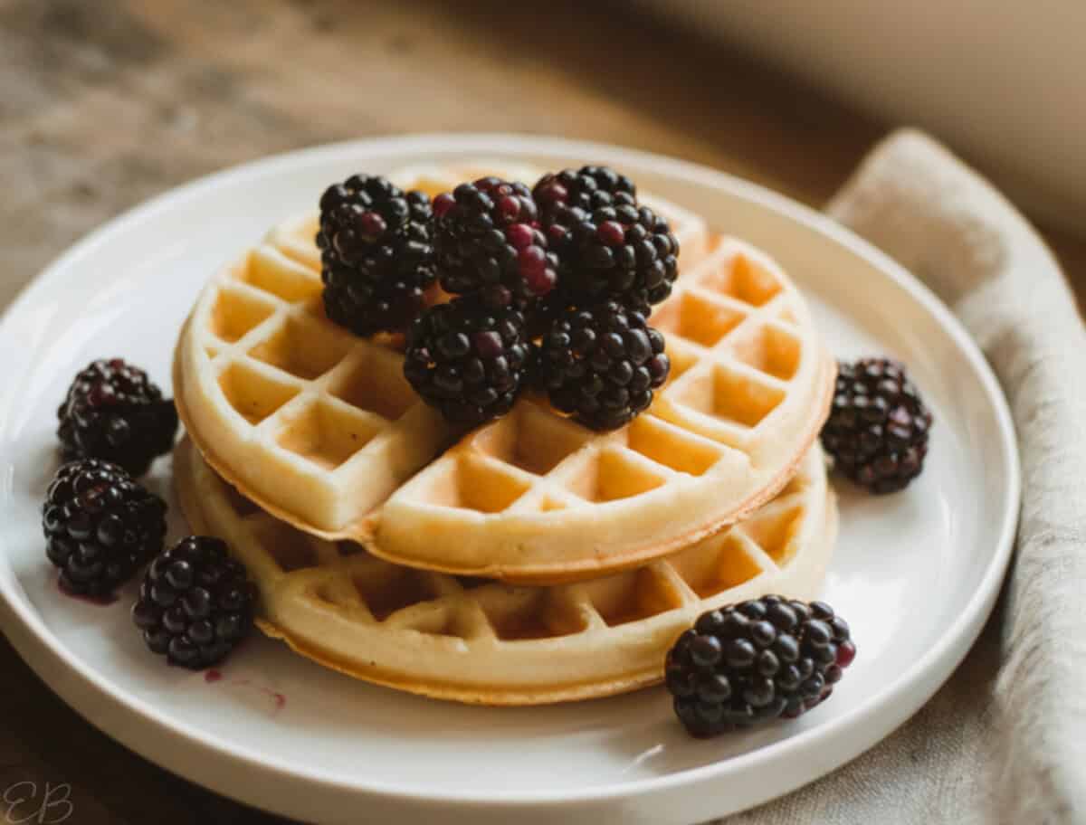 two stacked oat flour waffles garnished with fresh blackberries