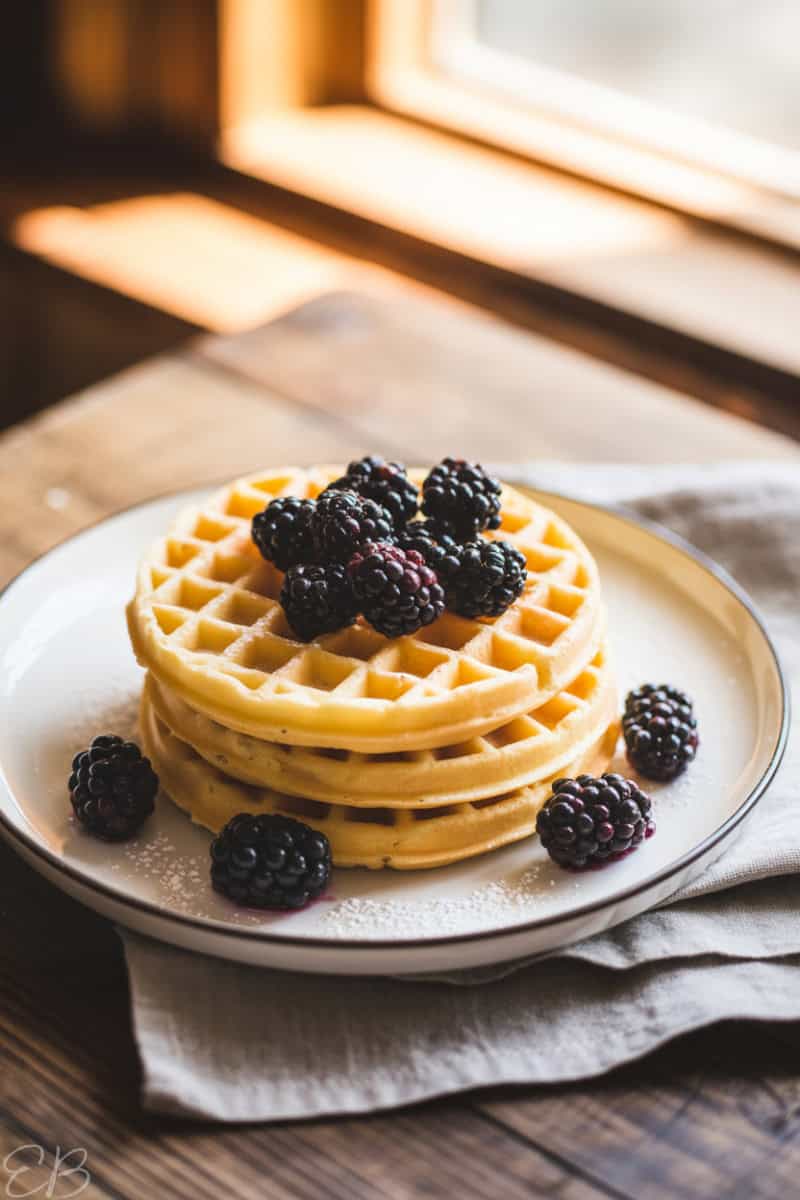 three stacked gluten free vegan oat flour waffles garnished with fresh blackberries on white plate
