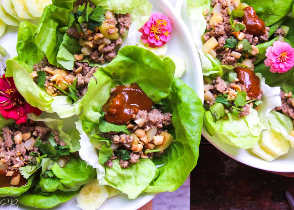 two white plates with Asian Ground Turkey Lettuce Wraps