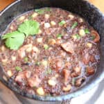 side angle view of high calcium beef stew with beans and finger millet, garnished with fresh cilantro