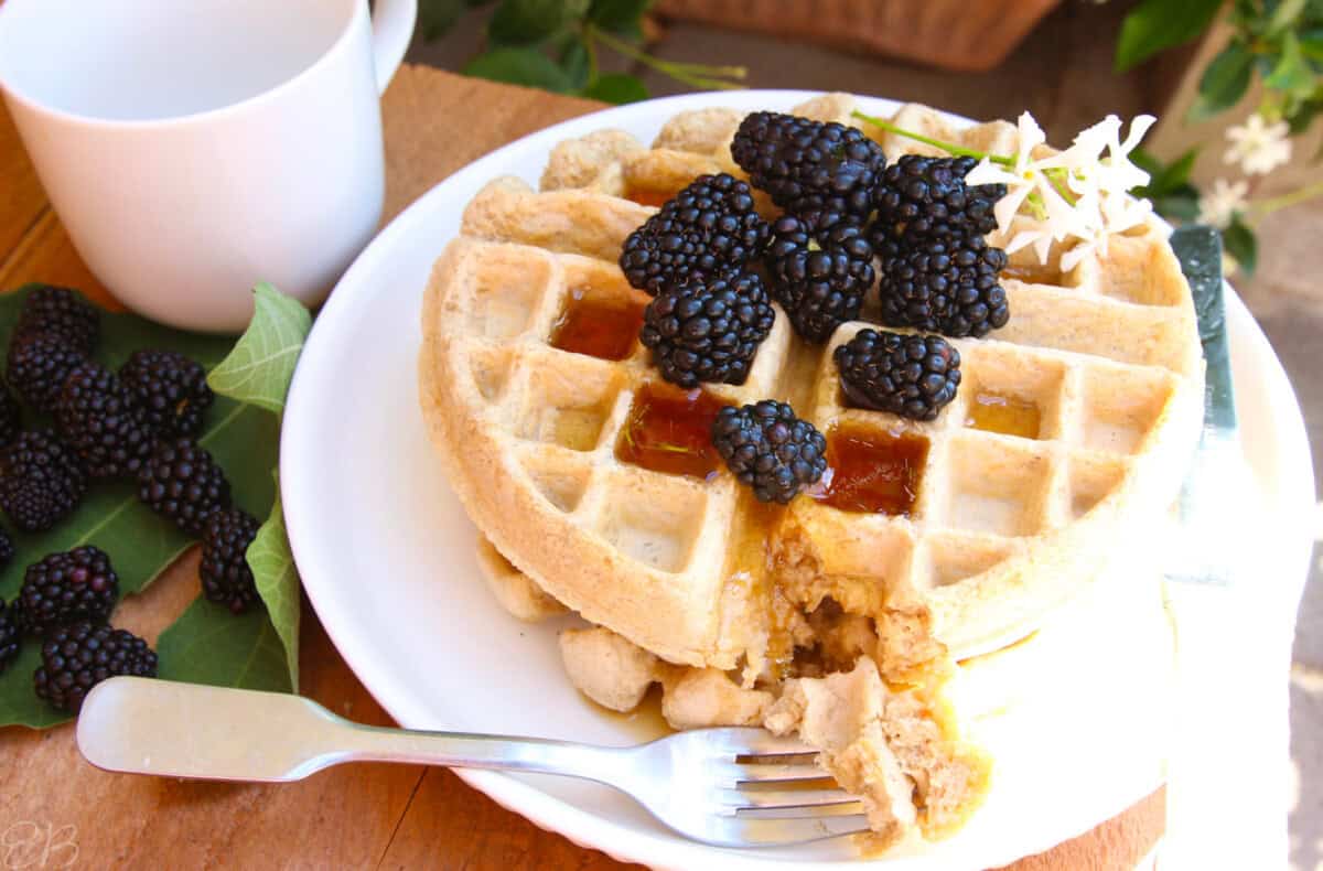 one bite cut out of oat flour sourdough waffles topped with pure maple syrup