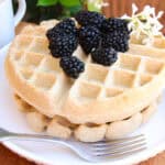 fresh blackberries on oat-flour-sourdough-waffles stacked on a white plate
