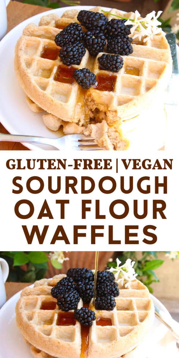 two photos of oat flour sourdough waffles, topped with blackberries and syrup, with recipe title and Gluten-free Vegan wording