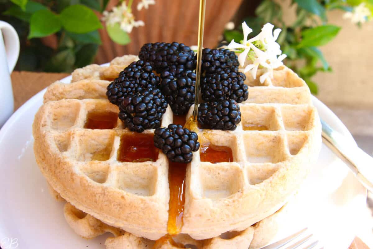 oat-flour-sourdough-waffles with syrup being poured over, and fresh blackberries