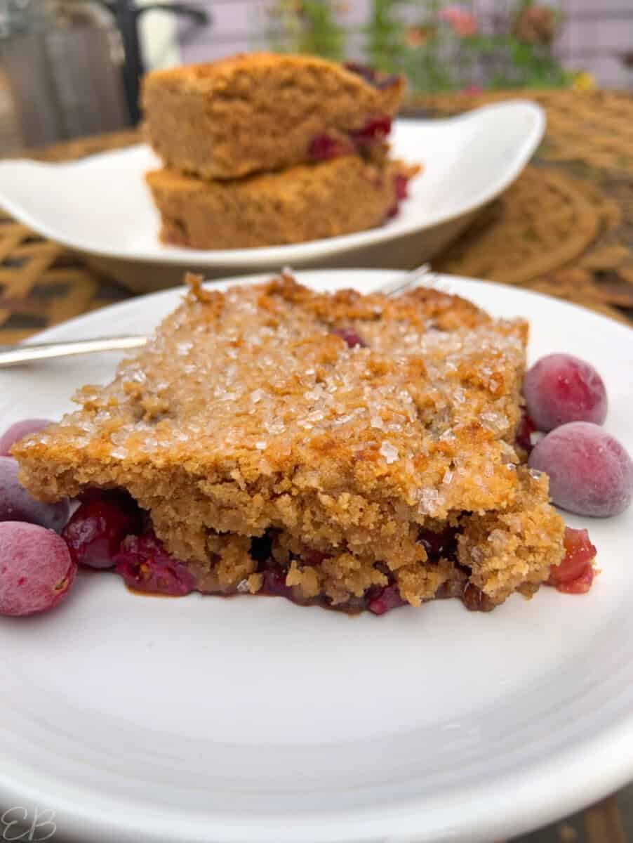 side angle view of piece of Cran-Strawberry Healthy Coffeecake Bars served