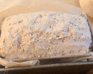 up close oat flour sourdough bread in loaf pan before baking