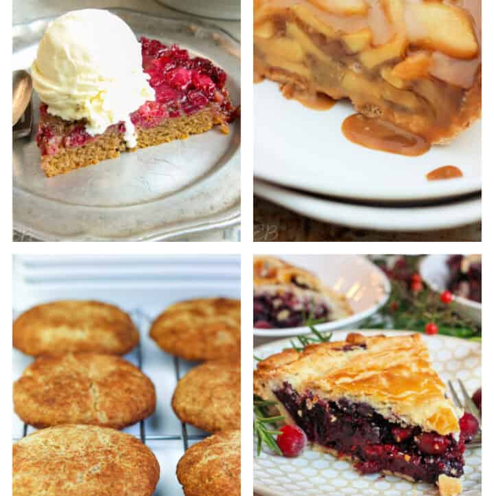 paleo aip thanksgiving and christmas holiday dessert recipes