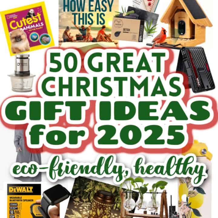 2025 great christmas gift ideas