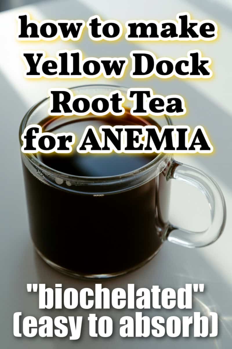 cup of yellow dock tea for low iron with title overlay