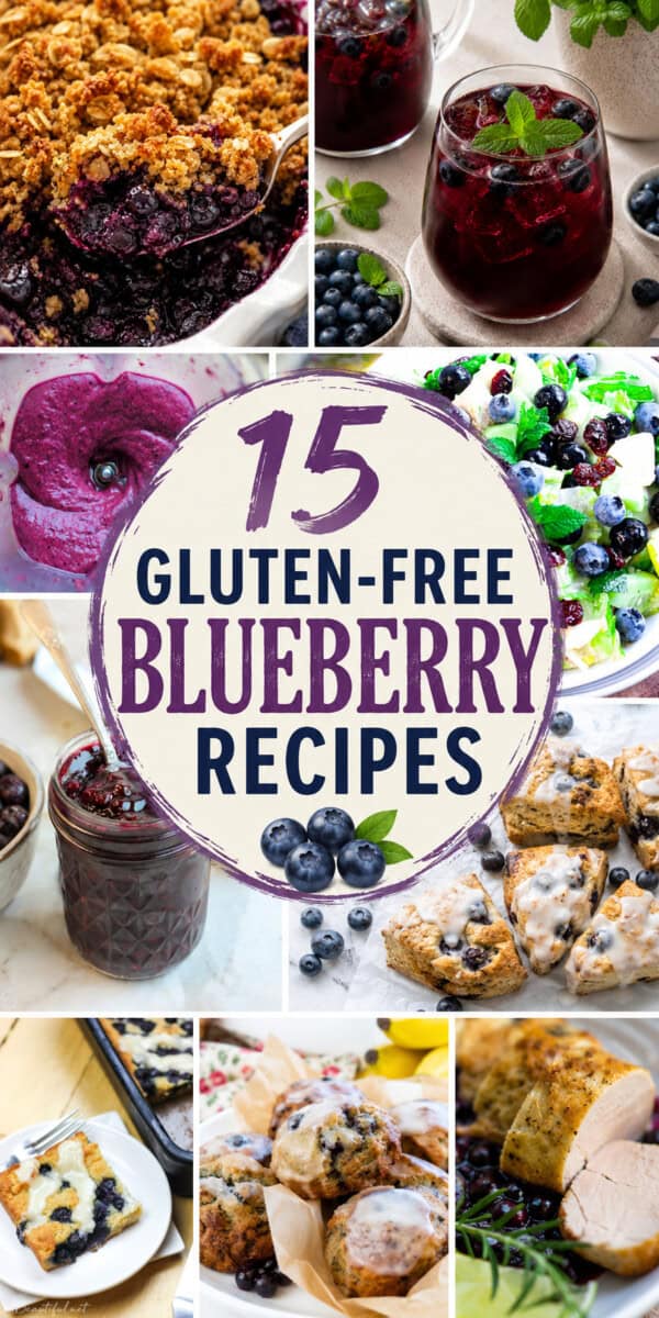several photos of and representing the 15 gluten free blueberry recipes with title overlay
