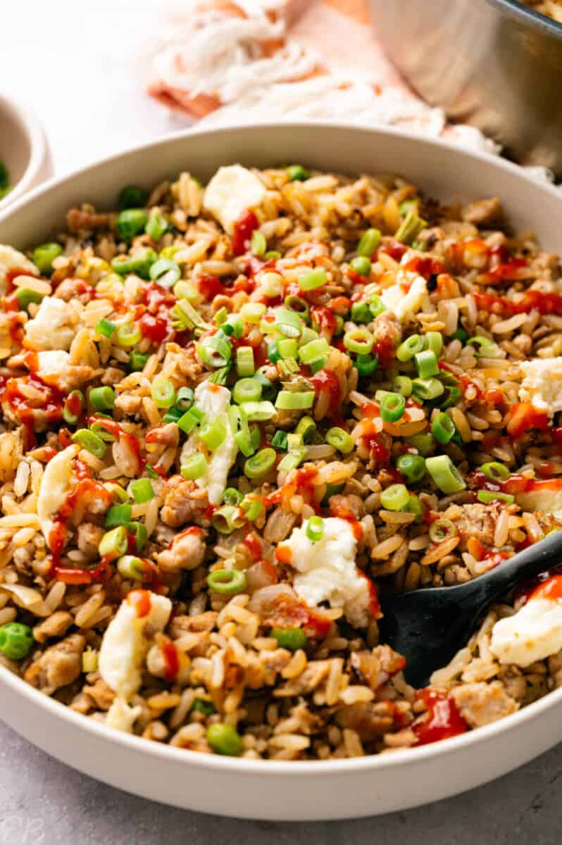 up close side angle view of turkey fried rice