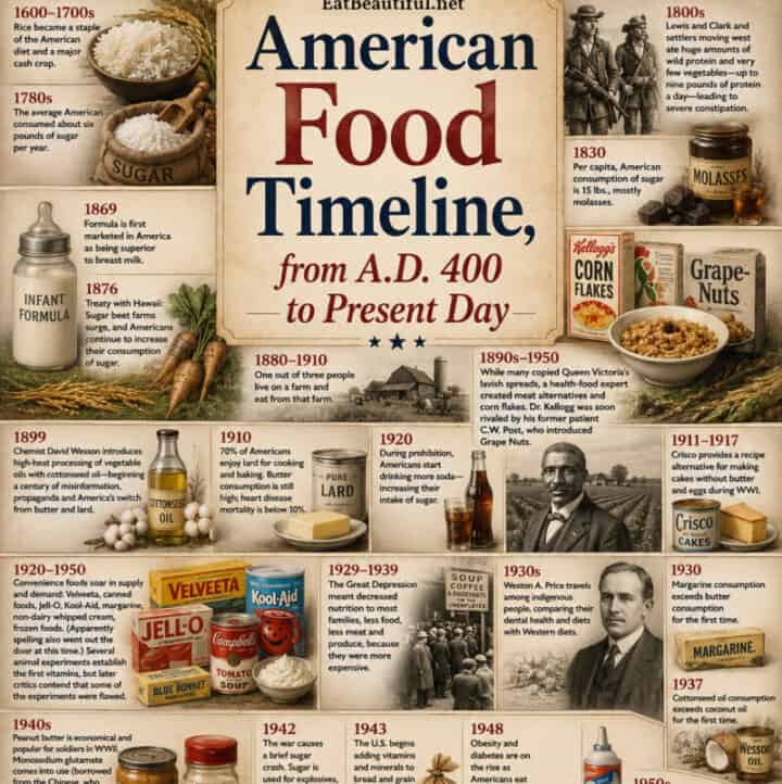 american food timeline infographic