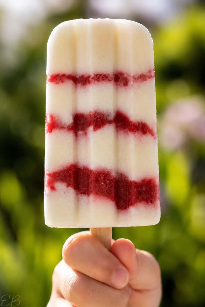 a child's hand holding up one vegan cheesecake popsicle with strawberry layers, outside in summer