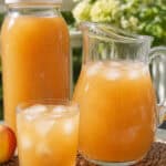 apple ginger tea iced in 3 serving containers