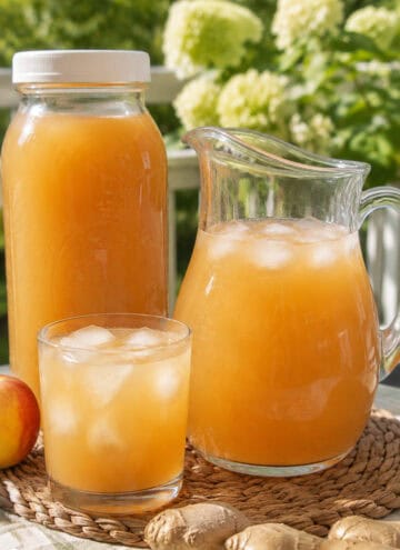 apple ginger tea iced in 3 serving containers
