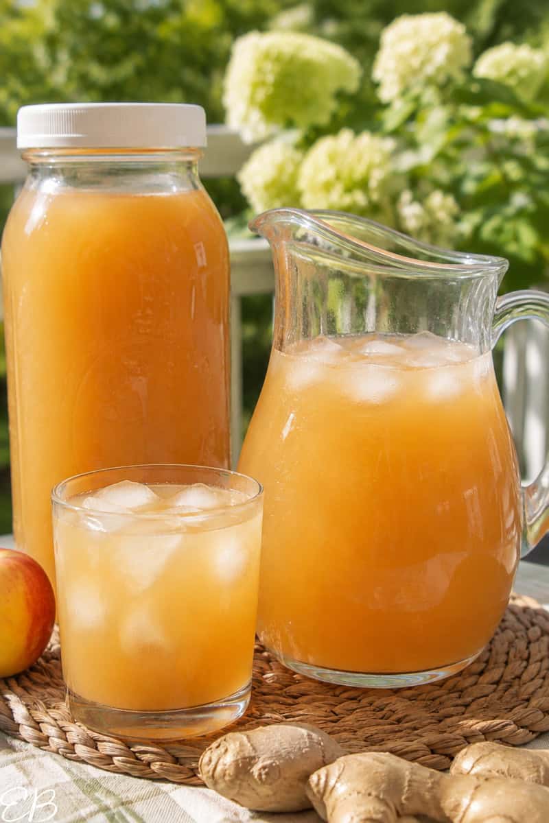 apple ginger tea iced in 3 serving containers